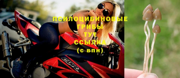 экстази Горняк
