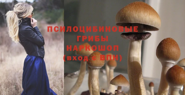 mix Горнозаводск
