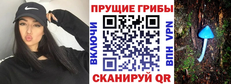 Купить  Палласовка  Псилоцибиновые грибы ЛСД 